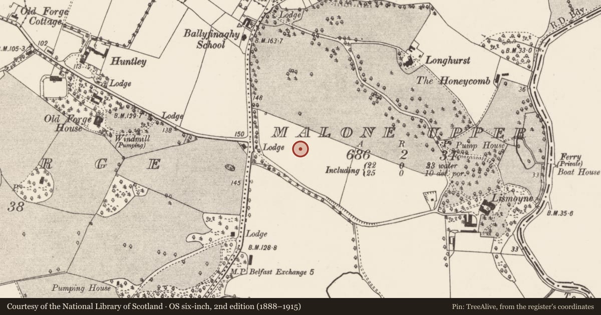 Ordnance Survey six-inch map, 2nd edition (1888–1915) covering the location of Tree Tops, with a pin at the register's coordinates