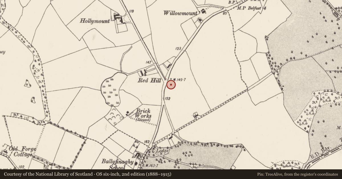 Ordnance Survey six-inch map, 2nd edition (1888–1915) covering the location of 138 Upper Malone Road, Ballyfinaghy, with a pin at the register's coordinates