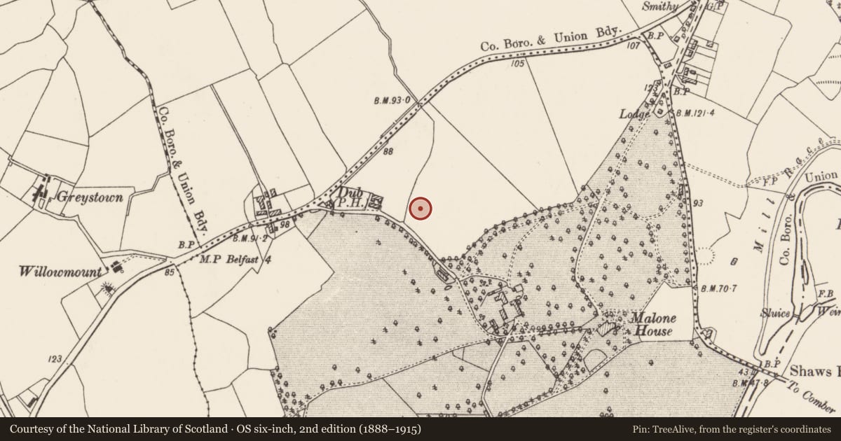 Ordnance Survey six-inch map, 2nd edition (1888–1915) covering the location of QUB Observatory, with a pin at the register's coordinates