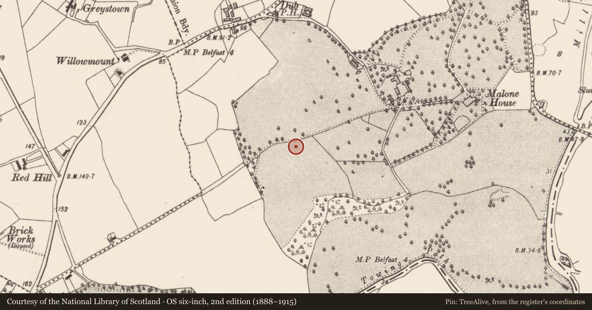 Ordnance Survey six-inch map, 2nd edition (1888–1915) covering the location of Milestone, with a pin at the register's coordinates