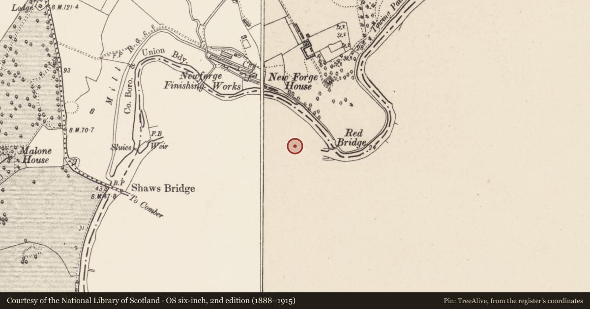 Ordnance Survey six-inch map, 2nd edition (1888–1915) covering the location of Boundary Post, with a pin at the register's coordinates