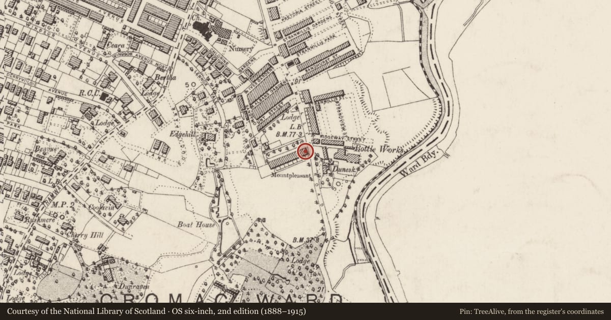 Ordnance Survey six-inch map, 2nd edition (1888–1915) covering the location of 1 Mount Pleasant, Belfast, with a pin at the register's coordinates