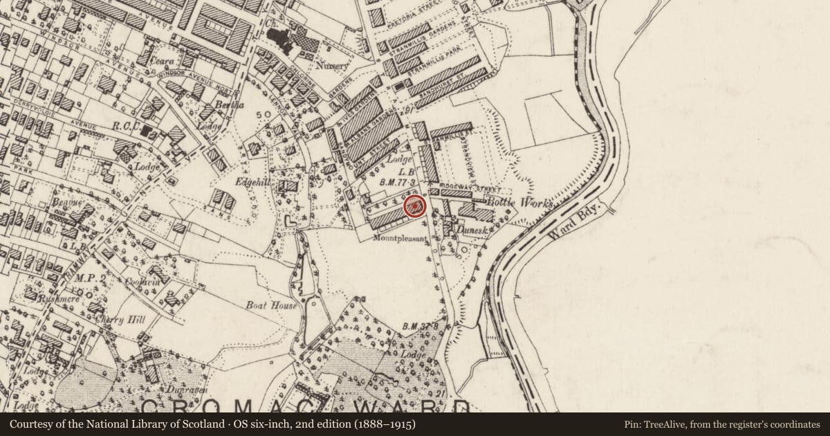 Ordnance Survey six-inch map, 2nd edition (1888–1915) covering the location of 2 Mount Pleasant, Belfast, with a pin at the register's coordinates