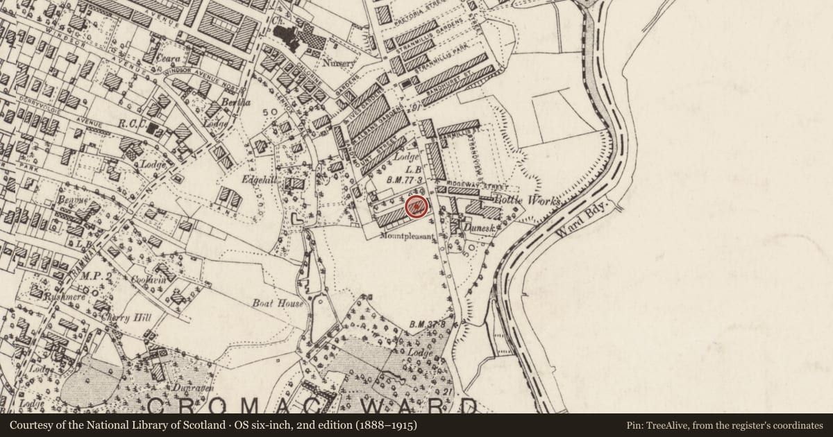Ordnance Survey six-inch map, 2nd edition (1888–1915) covering the location of 3 Mount Pleasant, Belfast, with a pin at the register's coordinates