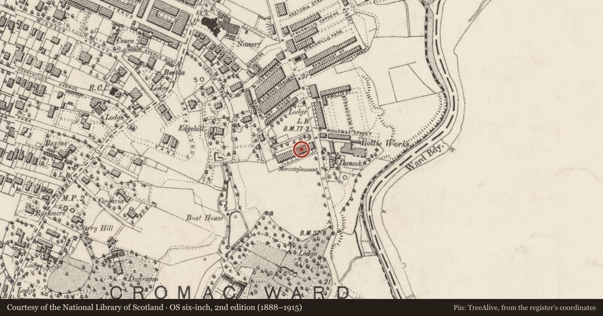 Ordnance Survey six-inch map, 2nd edition (1888–1915) covering the location of 4 Mount Pleasant, Belfast, with a pin at the register's coordinates