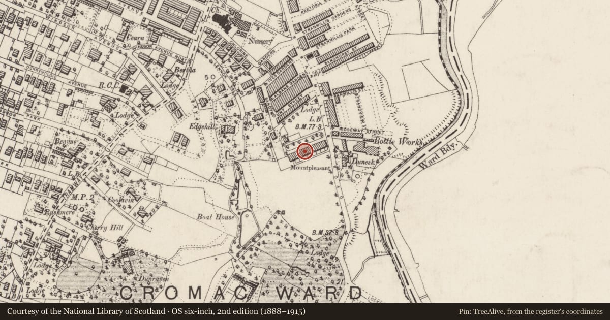 Ordnance Survey six-inch map, 2nd edition (1888–1915) covering the location of 6 Mount Pleasant, Belfast, with a pin at the register's coordinates
