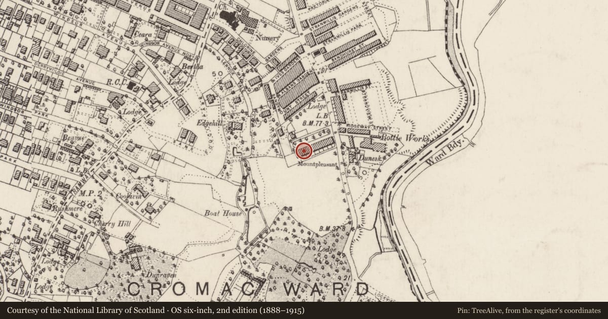 Ordnance Survey six-inch map, 2nd edition (1888–1915) covering the location of 8 Mount Pleasant, Belfast, with a pin at the register's coordinates