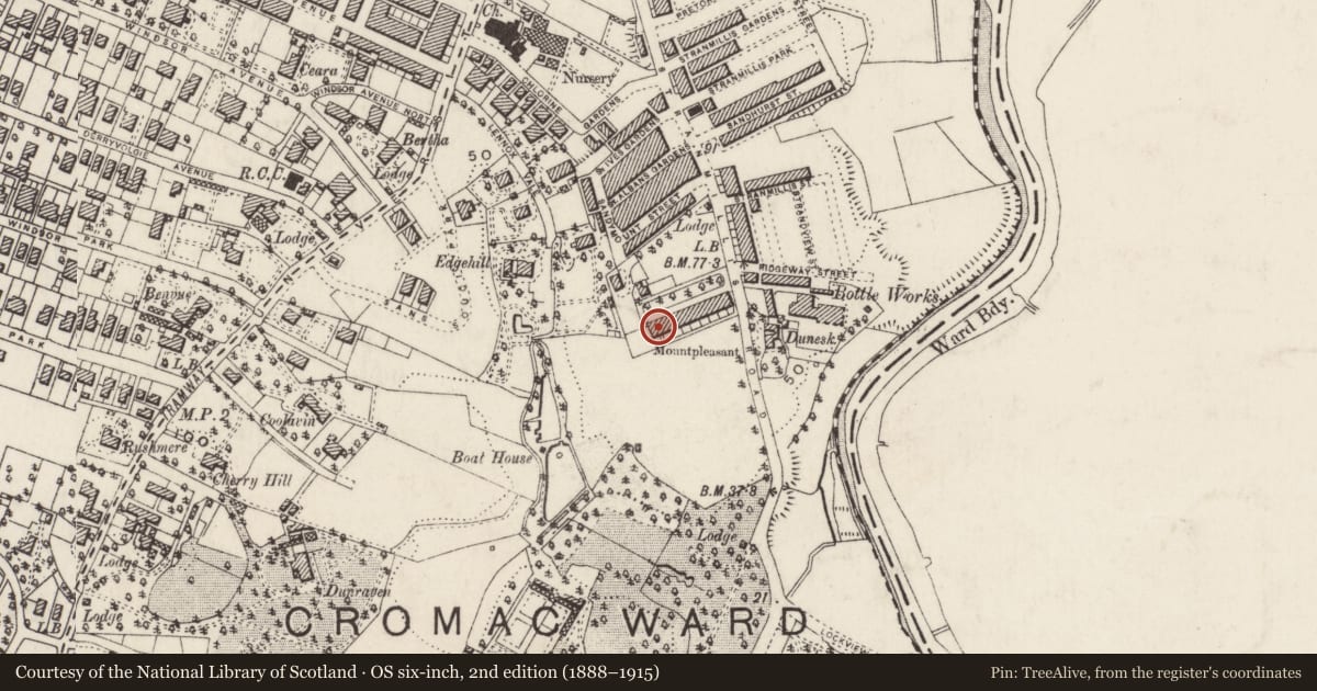 Ordnance Survey six-inch map, 2nd edition (1888–1915) covering the location of 9 Mount Pleasant, Belfast, with a pin at the register's coordinates
