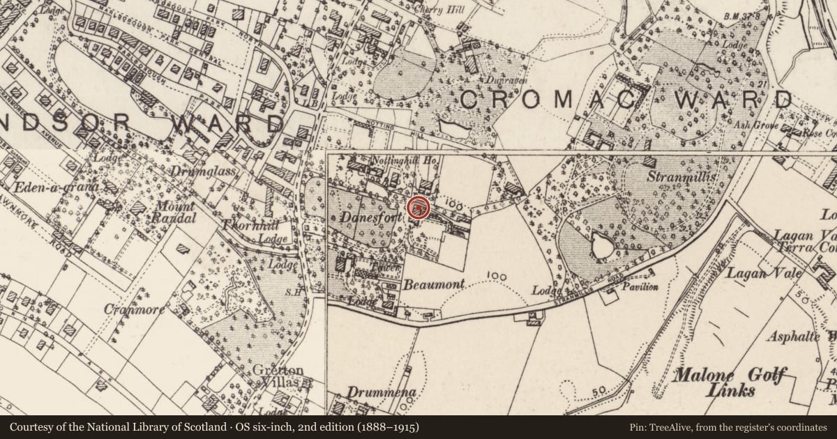 Ordnance Survey six-inch map, 2nd edition (1888–1915) covering the location of DANESFORT, Belfast, with a pin at the register's coordinates