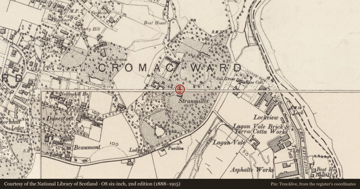 Ordnance Survey six-inch map, 2nd edition (1888–1915) covering the location of Stranmillis House Stranmillis College Belfast, Belfast, with a pin at the register's coordinates