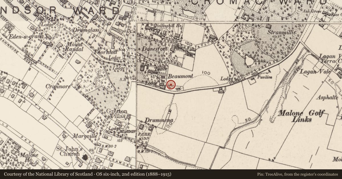 Ordnance Survey six-inch map, 2nd edition (1888–1915) covering the location of 187 Stranmillis Road, with a pin at the register's coordinates