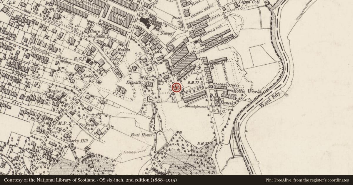 Ordnance Survey six-inch map, 2nd edition (1888–1915) covering the location of Summer Hill, Belfast, with a pin at the register's coordinates