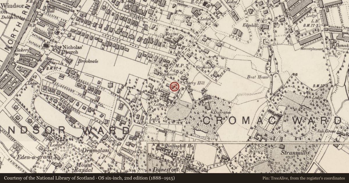 Ordnance Survey six-inch map, 2nd edition (1888–1915) covering the location of 94 Malone Road, Lower Malone, Belfast, with a pin at the register's coordinates