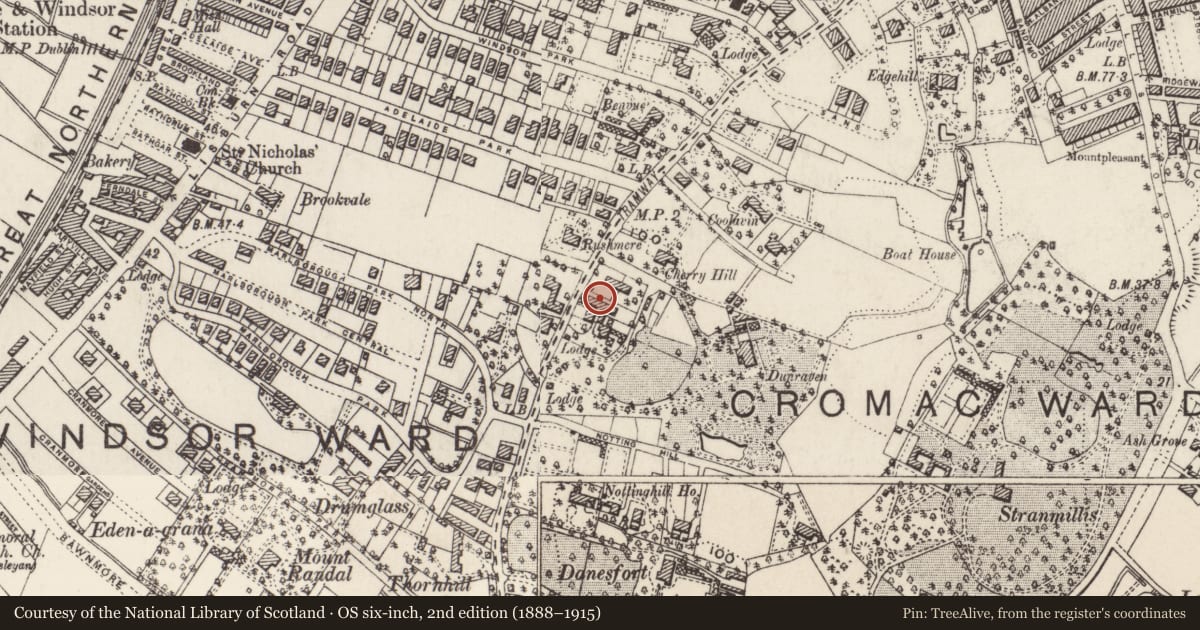 Ordnance Survey six-inch map, 2nd edition (1888–1915) covering the location of 96 Malone Road ('Montpellier'), Lower Malone, Belfast, with a pin at the register's coordinates