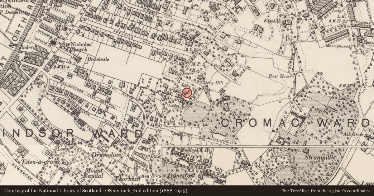 Ordnance Survey six-inch map, 2nd edition (1888–1915) covering the location of 100 Malone Road ('Montpellier'), Lower Malone, Belfast, with a pin at the register's coordinates