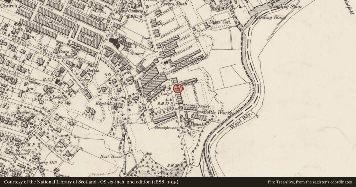 Ordnance Survey six-inch map, 2nd edition (1888–1915) covering the location of Chilworth Buildings, Malone Lower, Belfast, with a pin at the register's coordinates