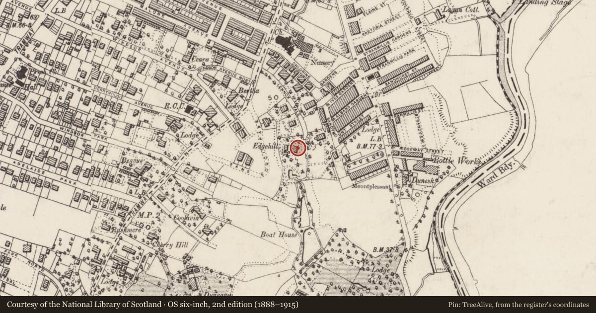Ordnance Survey six-inch map, 2nd edition (1888–1915) covering the location of Edgehill Methodist College, Belfast, with a pin at the register's coordinates