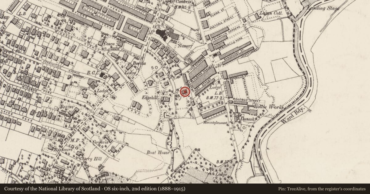 Ordnance Survey six-inch map, 2nd edition (1888–1915) covering the location of Vice-Chancellor'S Lodge, Belfast, with a pin at the register's coordinates
