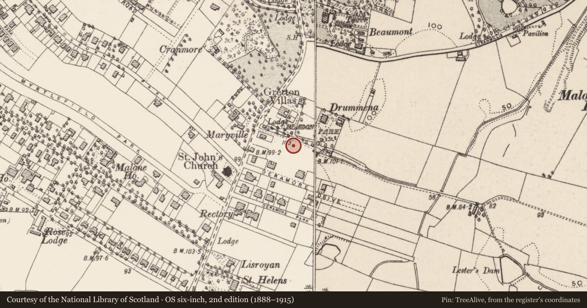 Ordnance Survey six-inch map, 2nd edition (1888–1915) covering the location of 7 Bladon Drive, Belfast, with a pin at the register's coordinates