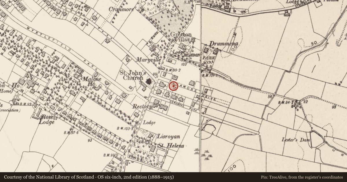 Ordnance Survey six-inch map, 2nd edition (1888–1915) covering the location of 3 Deramore Drive, Belfast, with a pin at the register's coordinates