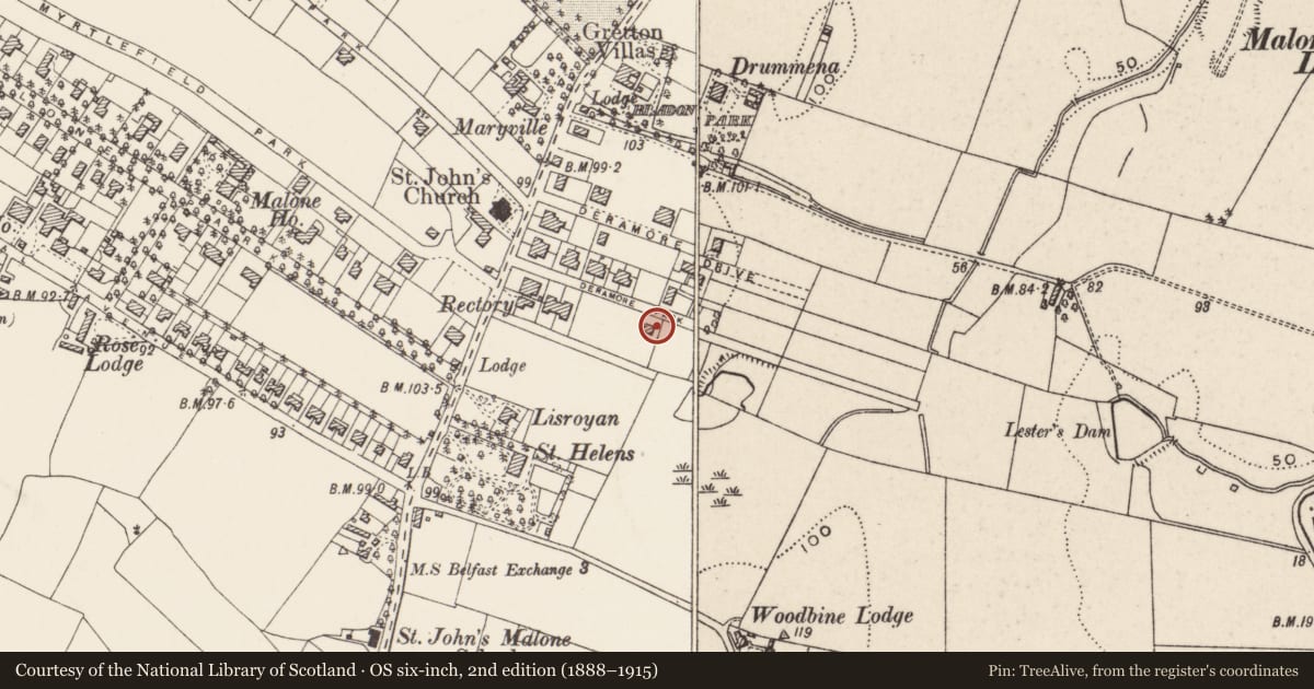 Ordnance Survey six-inch map, 2nd edition (1888–1915) covering the location of 19 Deramore Park, Belfast, with a pin at the register's coordinates