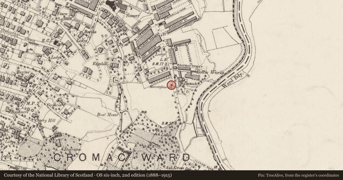 Ordnance Survey six-inch map, 2nd edition (1888–1915) covering the location of Gate Lodge To Riddel Hall, Belfast, with a pin at the register's coordinates