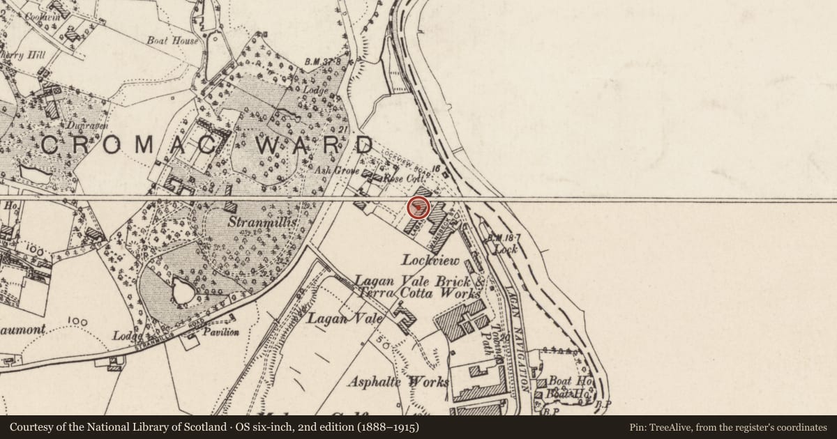 Ordnance Survey six-inch map, 2nd edition (1888–1915) covering the location of 1-43 Laganvale Street Belfast BT9 5FR, Malone Lower, Belfast, with a pin at the register's coordinates