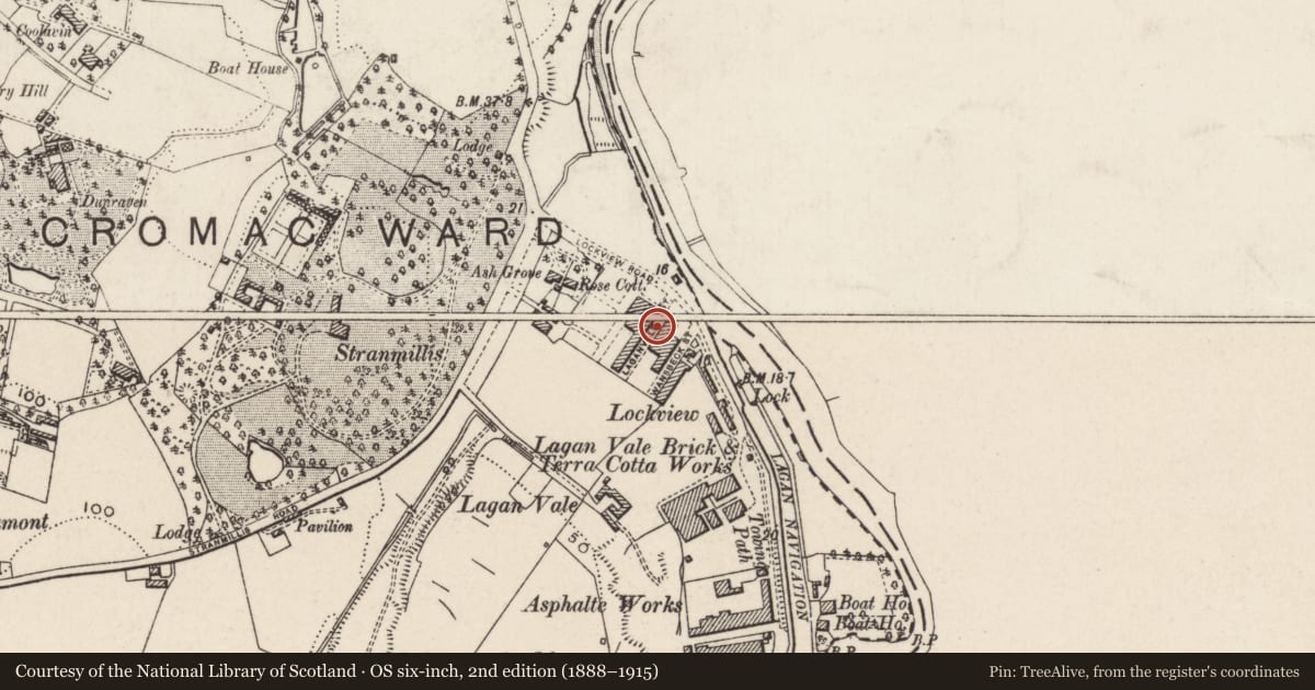 Ordnance Survey six-inch map, 2nd edition (1888–1915) covering the location of 2-20 Laganvale Street Belfast BT9 5FR, Malone Lower, Belfast, with a pin at the register's coordinates