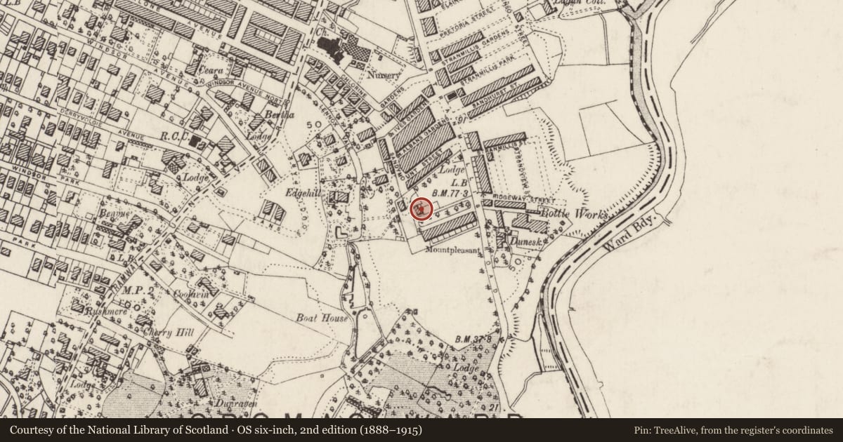 Ordnance Survey six-inch map, 2nd edition (1888–1915) covering the location of 10 Mount Pleasant, Belfast, BT9 5DS, Malone Lower, Belfast, with a pin at the register's coordinates