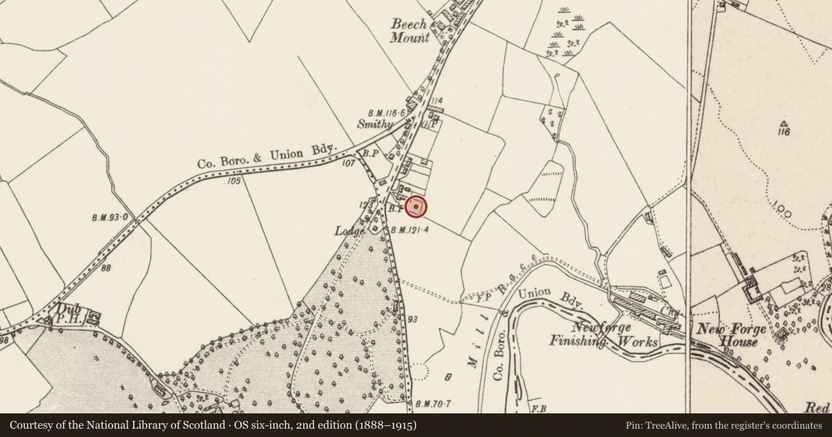 Ordnance Survey six-inch map, 2nd edition (1888–1915) covering the location of 274 Malone Road, with a pin at the register's coordinates