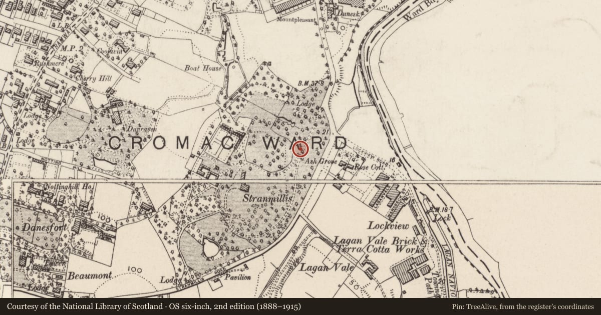 Ordnance Survey six-inch map, 2nd edition (1888–1915) covering the location of Main Building, Belfast, with a pin at the register's coordinates