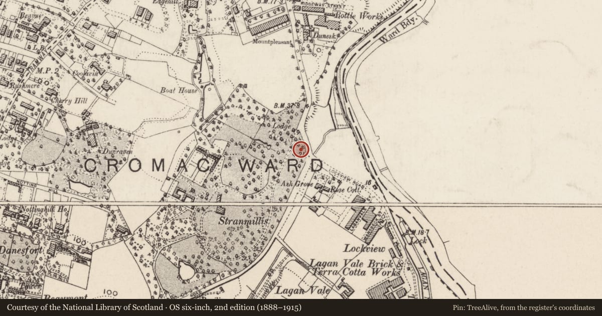 Ordnance Survey six-inch map, 2nd edition (1888–1915) covering the location of Front Gate Lodge At Stranmillis College, Belfast, with a pin at the register's coordinates