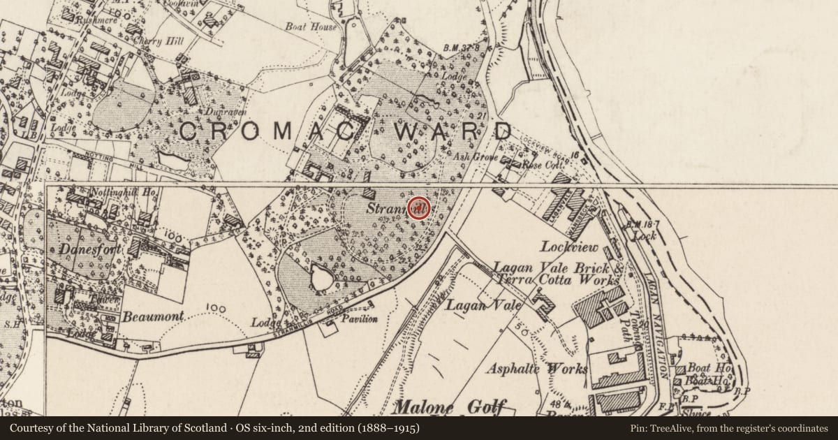 Ordnance Survey six-inch map, 2nd edition (1888–1915) covering the location of Gates/Screens/Lodges, Belfast, with a pin at the register's coordinates