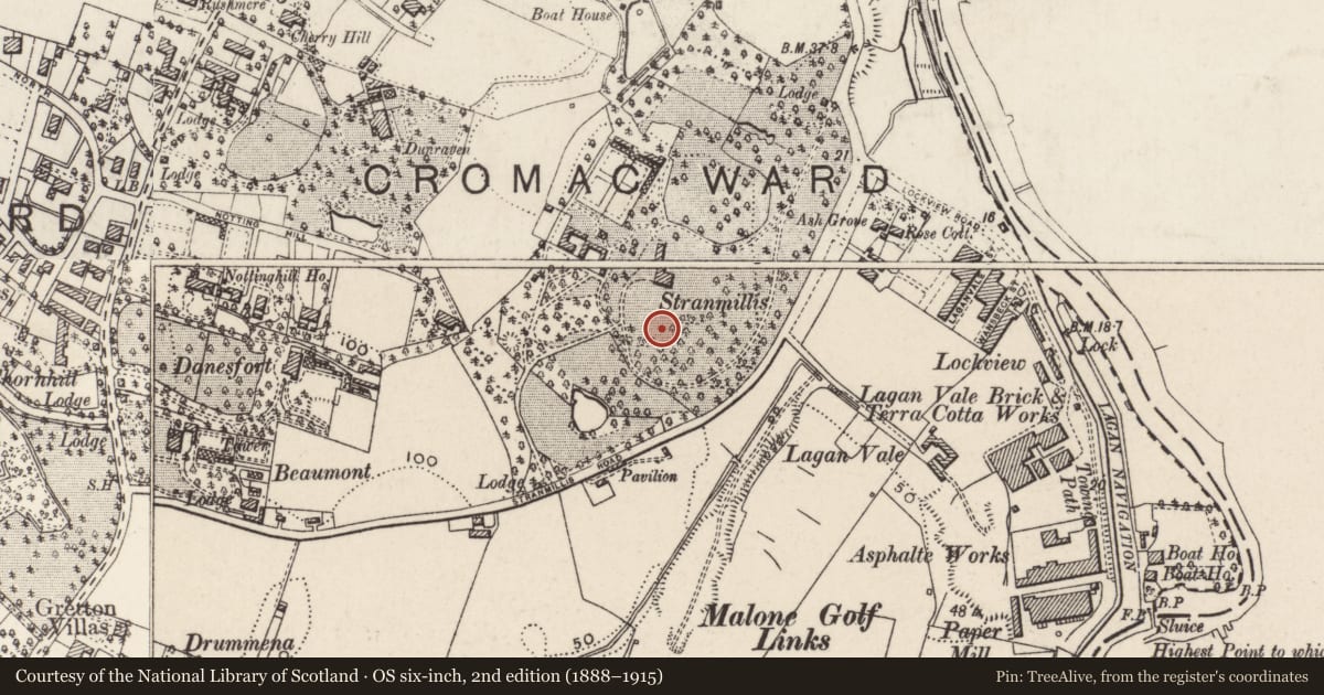 Ordnance Survey six-inch map, 2nd edition (1888–1915) covering the location of Henry Garrett Building, Belfast, with a pin at the register's coordinates