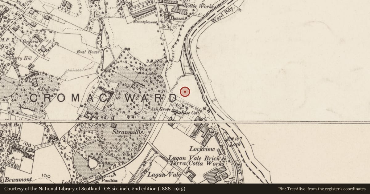 Ordnance Survey six-inch map, 2nd edition (1888–1915) covering the location of 50 Stranmillis Embankment, Belfast, with a pin at the register's coordinates