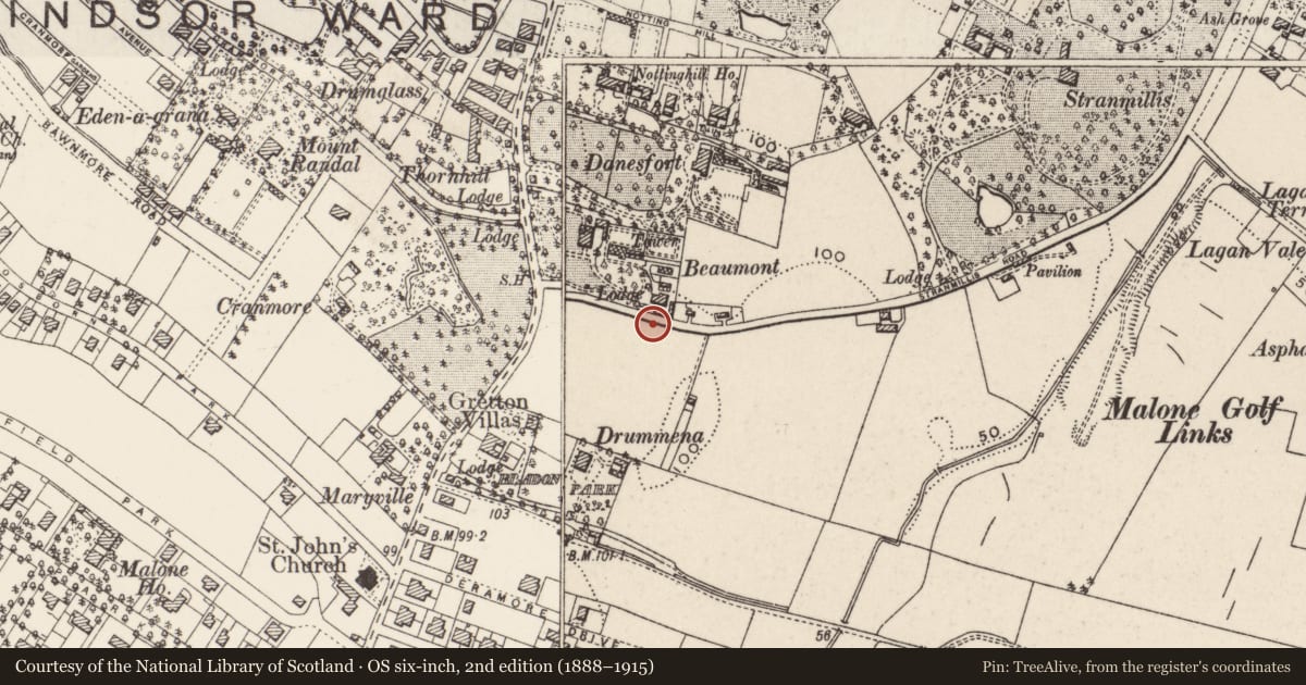 Ordnance Survey six-inch map, 2nd edition (1888–1915) covering the location of 1 Broomhill Park, Belfast, with a pin at the register's coordinates