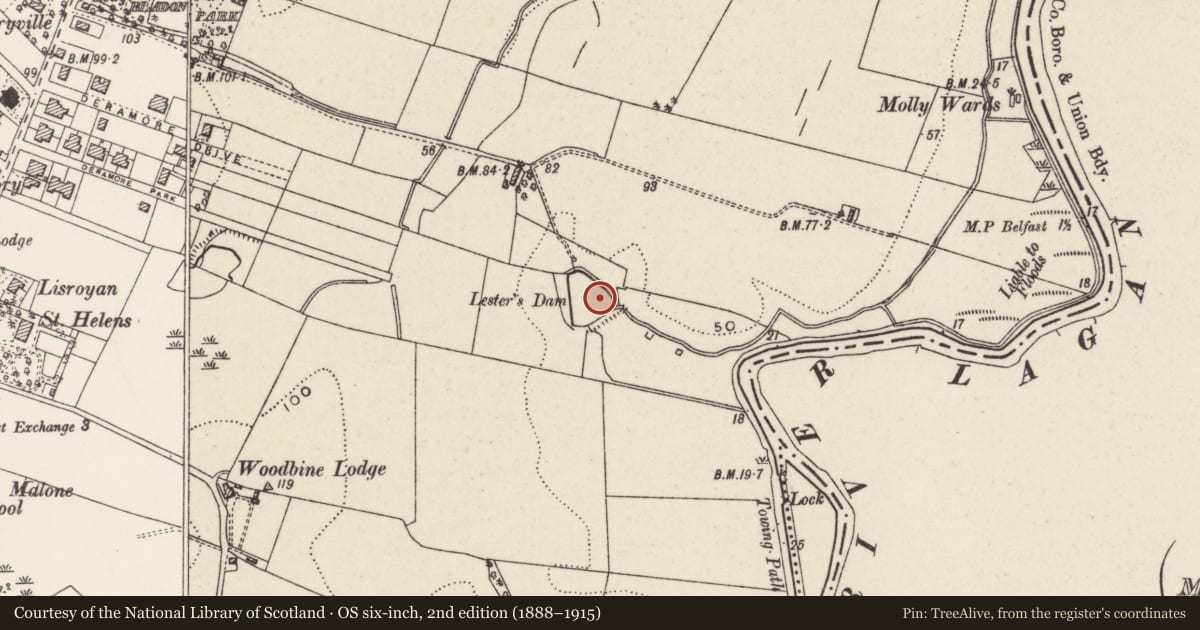 Ordnance Survey six-inch map, 2nd edition (1888–1915) covering the location of Lester's Dam, with a pin at the register's coordinates