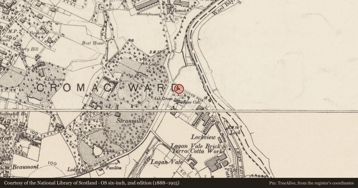 Ordnance Survey six-inch map, 2nd edition (1888–1915) covering the location of Post Box, Malone Lower, Belfast, with a pin at the register's coordinates