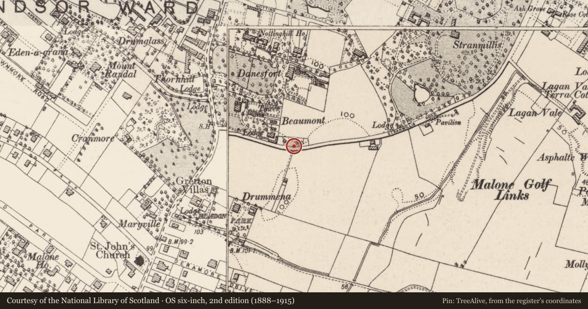 Ordnance Survey six-inch map, 2nd edition (1888–1915) covering the location of Electrical services cabinet, with a pin at the register's coordinates
