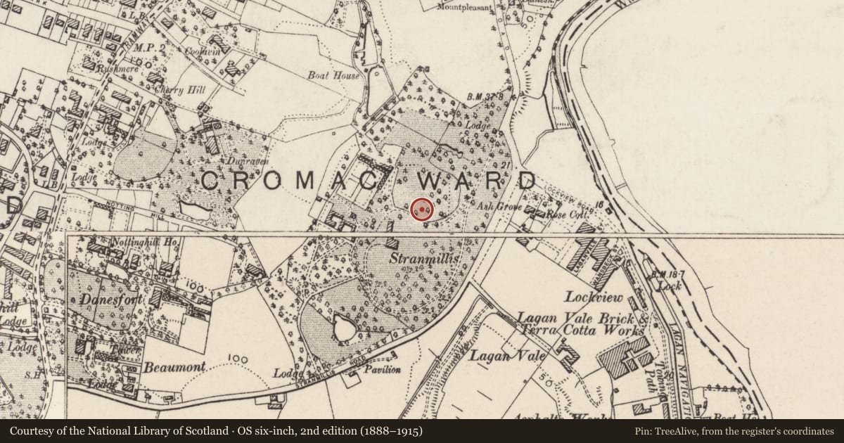 Ordnance Survey six-inch map, 2nd edition (1888–1915) covering the location of Central Building adjacent to Stranmillis House, Malone Lower, Belfast, with a pin at the register's coordinates