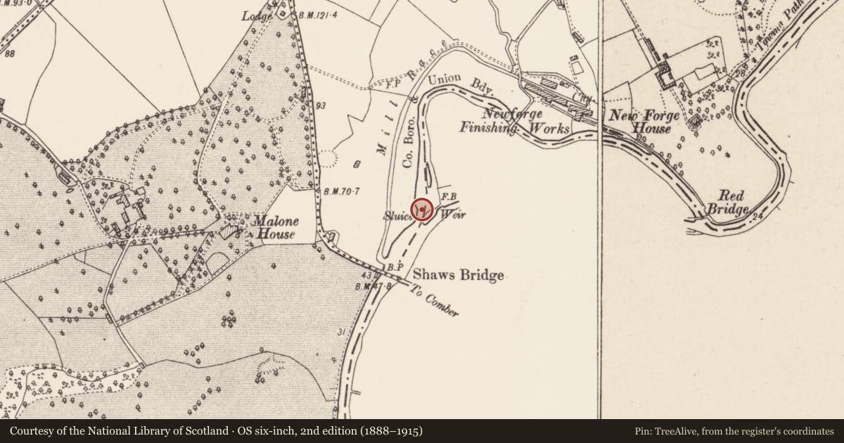 Ordnance Survey six-inch map, 2nd edition (1888–1915) covering the location of Boundary Post near Shaws Bridge, Malone Upper, Belfast, with a pin at the register's coordinates