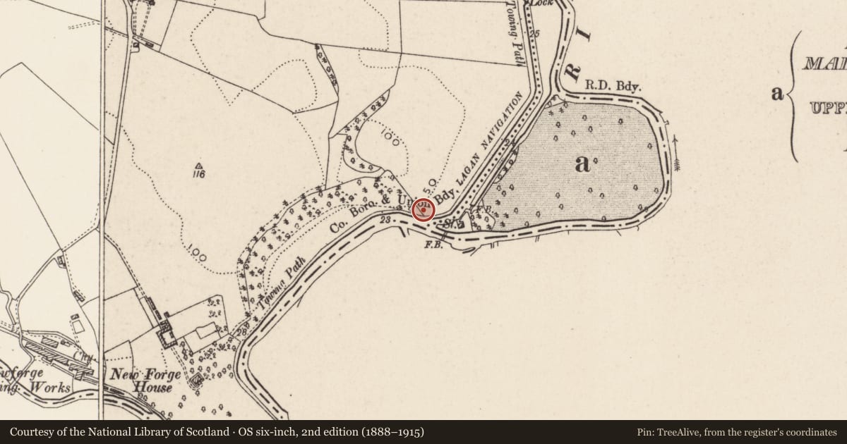 Ordnance Survey six-inch map, 2nd edition (1888–1915) covering the location of Boundary Post, Malone Upper, Belfast, with a pin at the register's coordinates
