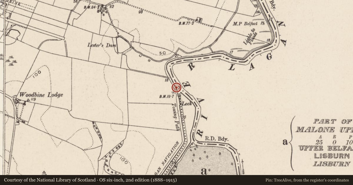 Ordnance Survey six-inch map, 2nd edition (1888–1915) covering the location of Parliamentary Boundary Post, Malone Upper, Belfast, with a pin at the register's coordinates