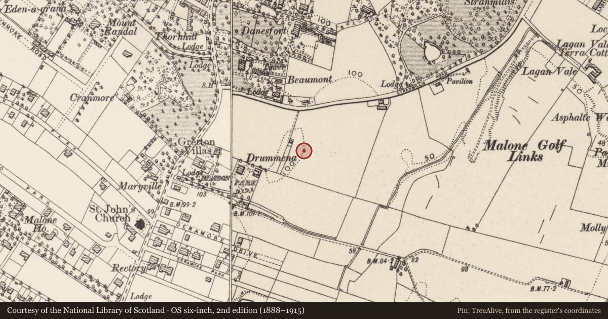Ordnance Survey six-inch map, 2nd edition (1888–1915) covering the location of Street Sign, Broomhill Park Central, Belfast, Malone Lower, Belfast, with a pin at the register's coordinates