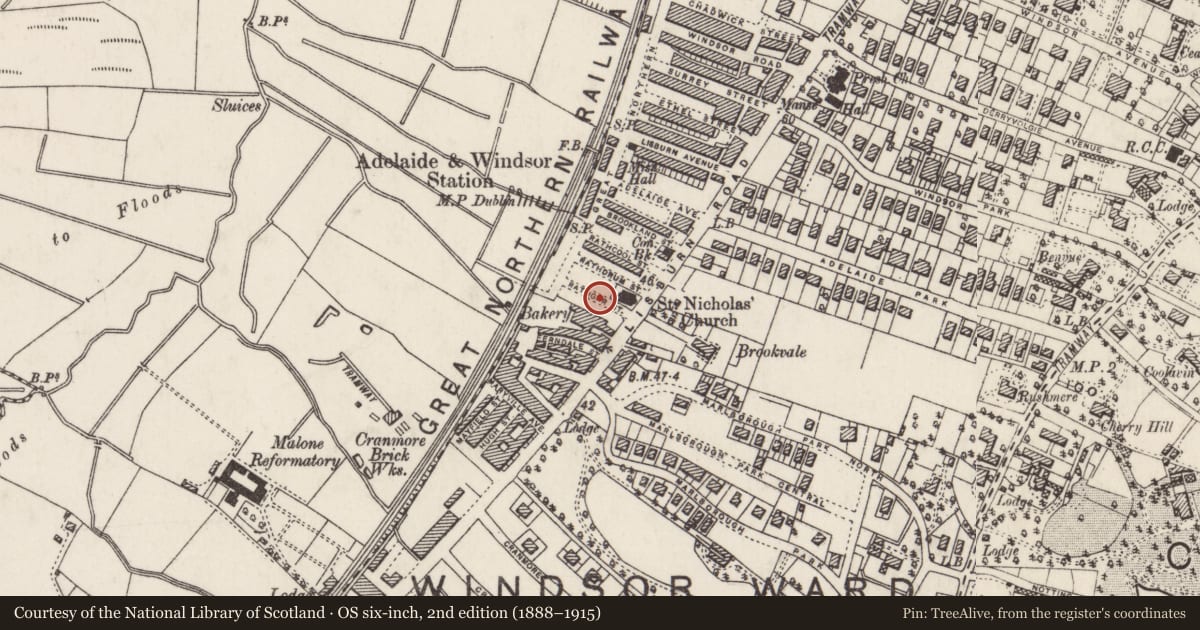 Ordnance Survey six-inch map, 2nd edition (1888–1915) covering the location of 10 Rathgar St., Belfast, with a pin at the register's coordinates