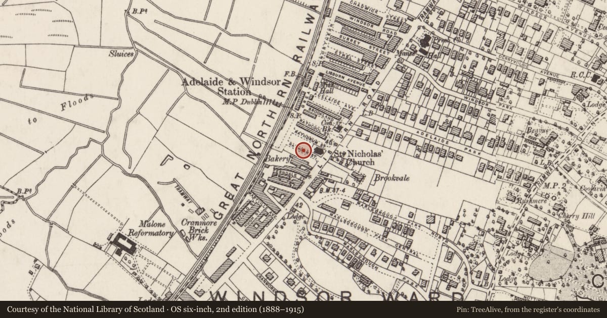 Ordnance Survey six-inch map, 2nd edition (1888–1915) covering the location of 12 Rathgar St., Belfast, with a pin at the register's coordinates