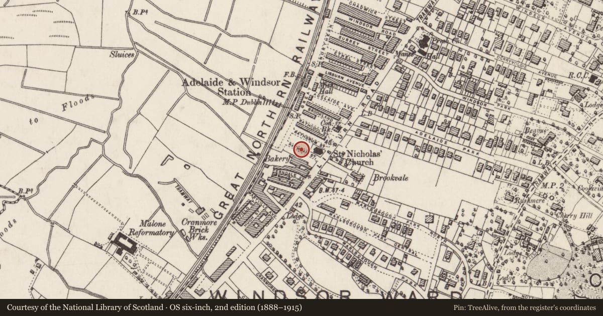 Ordnance Survey six-inch map, 2nd edition (1888–1915) covering the location of 14 Rathgar St., Belfast, with a pin at the register's coordinates
