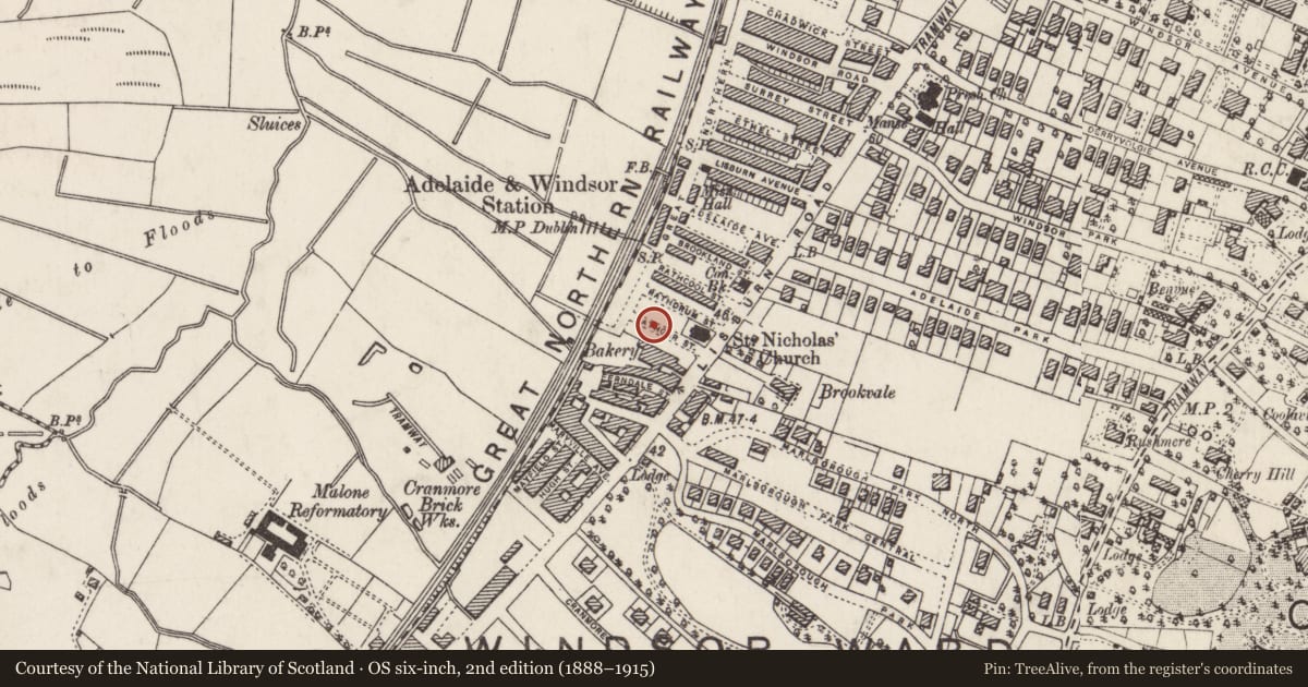 Ordnance Survey six-inch map, 2nd edition (1888–1915) covering the location of 20 Rathgar St., Belfast, with a pin at the register's coordinates