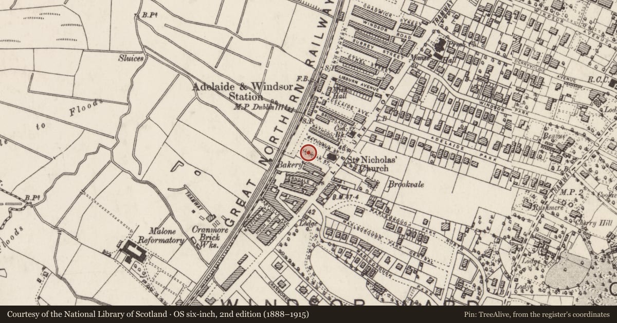 Ordnance Survey six-inch map, 2nd edition (1888–1915) covering the location of 22 Rathgar St., Belfast, with a pin at the register's coordinates
