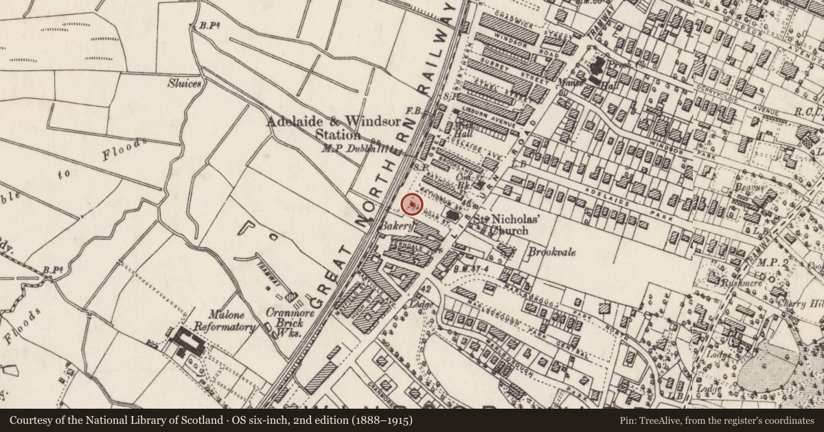 Ordnance Survey six-inch map, 2nd edition (1888–1915) covering the location of 32 Rathgar St., Belfast, with a pin at the register's coordinates
